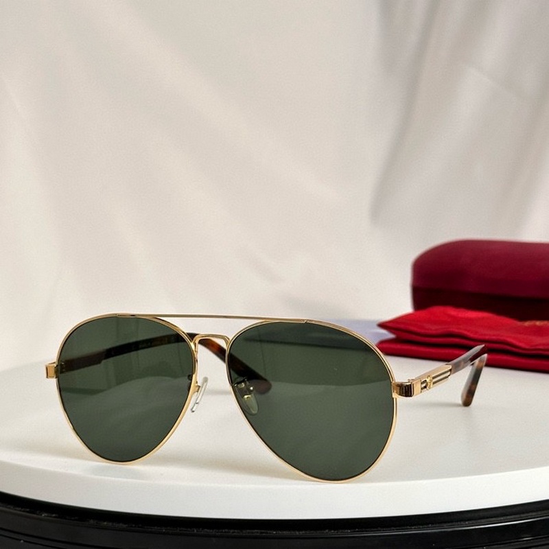 Gucci Sunglasses 161